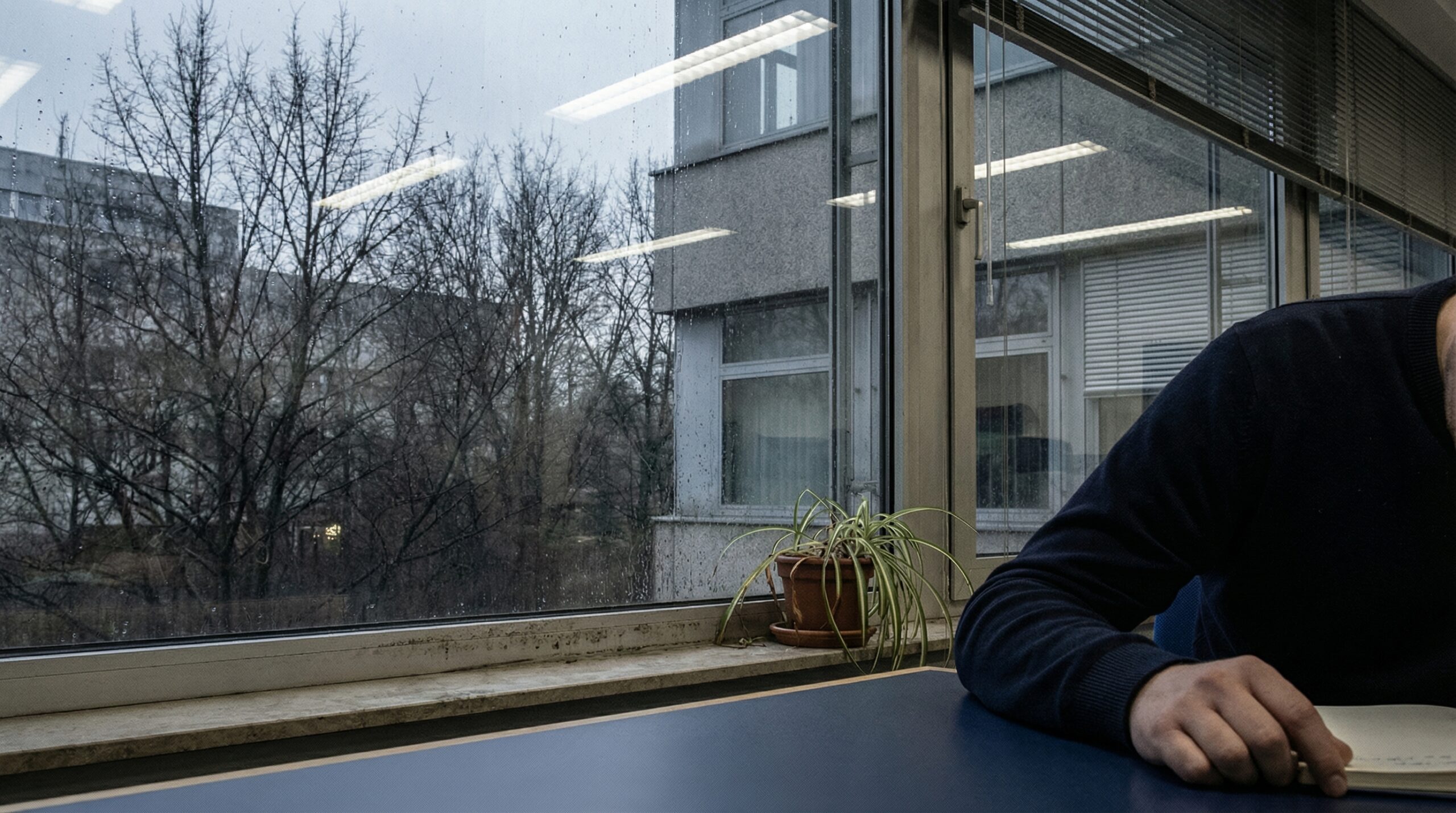 Grauer winterhimmel durch ein bürofenster — welkende pflanze auf der fensterbank
