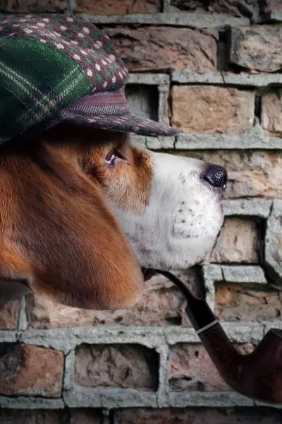 Humorvolles bild eines therapeuten, der ein problem an der wurzel packt